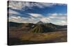 Bromo Volcano and Bromo Tengger Semeru National Park-Alex Saberi-Stretched Canvas