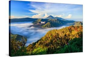 Bromo Volcano at Sunrise,Tengger Semeru National Park, East Java, Indonesia-lkunl-Stretched Canvas