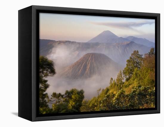 Bromo Volcano in Bromo-Tengger-Semeru National Park-Peter Adams-Framed Stretched Canvas