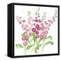 Brompton Stock-Sally Crosthwaite-Framed Stretched Canvas