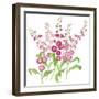 Brompton Stock-Sally Crosthwaite-Framed Giclee Print