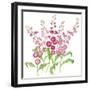 Brompton Stock-Sally Crosthwaite-Framed Giclee Print