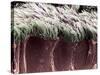 Bronchial Cilia, SEM-Steve Gschmeissner-Stretched Canvas