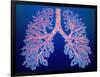 Bronchial Tree of Lungs-PASIEKA-Framed Photographic Print