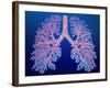 Bronchial Tree of Lungs-PASIEKA-Framed Photographic Print