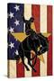 Bronco Bucking and Flag-Lantern Press-Stretched Canvas
