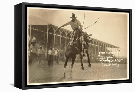 Bronco Buster, Bert Sibberton-null-Framed Stretched Canvas