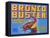 Bronco Buster Vegetable Crate Label-null-Framed Stretched Canvas
