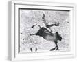 White Frame