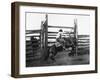 Bronco Busting-L.a. Huffman-Framed Photo