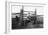 Bronco Busting-L.a. Huffman-Framed Art Print