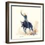 Bronco-Hazel Soan-Framed Giclee Print