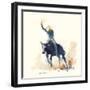 Bronco-Hazel Soan-Framed Giclee Print