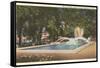 Bronson Park, Kalamazoo, Michigan-null-Framed Stretched Canvas