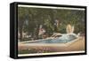 Bronson Park, Kalamazoo, Michigan-null-Framed Stretched Canvas