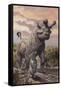 Brontops and Palaeolagus Rabbit of the Early Miocene Epoch-null-Framed Stretched Canvas