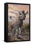 Brontops and Palaeolagus Rabbit of the Early Miocene Epoch-null-Framed Stretched Canvas