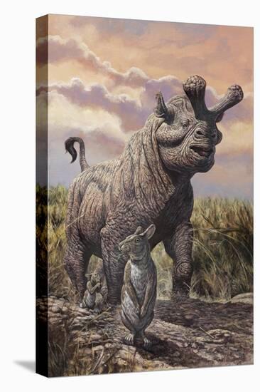 Brontops and Palaeolagus Rabbit of the Early Miocene Epoch-null-Stretched Canvas