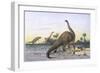 Brontosaurus Attacked by Allosaurus-Wilhelm Kuhnert-Framed Photographic Print