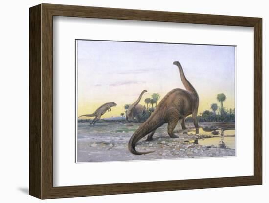 Brontosaurus Attacked by Allosaurus-Wilhelm Kuhnert-Framed Photographic Print