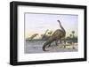 Brontosaurus Attacked by Allosaurus-Wilhelm Kuhnert-Framed Photographic Print