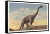 Brontosaurus, Dinosaur Park, Rapid City, South Dakota-null-Framed Stretched Canvas