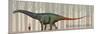 Brontosaurus Excelsus Size Compatison to an Adult Woman-Stocktrek Images-Mounted Art Print