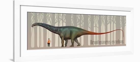 Brontosaurus Excelsus Size Compatison to an Adult Woman-Stocktrek Images-Framed Premium Giclee Print