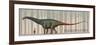 Brontosaurus Excelsus Size Compatison to an Adult Woman-Stocktrek Images-Framed Premium Giclee Print