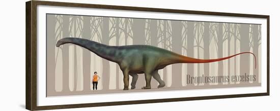 Brontosaurus Excelsus Size Compatison to an Adult Woman-Stocktrek Images-Framed Premium Giclee Print