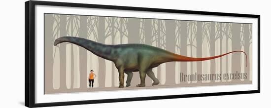 Brontosaurus Excelsus Size Compatison to an Adult Woman-Stocktrek Images-Framed Premium Giclee Print