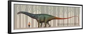 Brontosaurus Excelsus Size Compatison to an Adult Woman-Stocktrek Images-Framed Premium Giclee Print