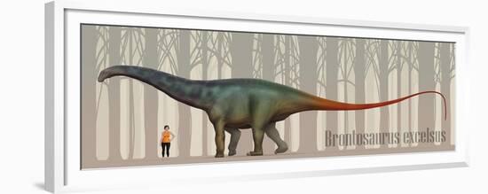 Brontosaurus Excelsus Size Compatison to an Adult Woman-Stocktrek Images-Framed Premium Giclee Print