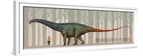 Brontosaurus Excelsus Size Compatison to an Adult Woman-Stocktrek Images-Framed Premium Giclee Print