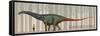 Brontosaurus Excelsus Size Compatison to an Adult Woman-Stocktrek Images-Framed Stretched Canvas