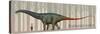Brontosaurus Excelsus Size Compatison to an Adult Woman-Stocktrek Images-Stretched Canvas