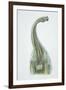 Brontosaurus, Jurassic Period-null-Framed Giclee Print
