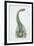 Brontosaurus, Jurassic Period-null-Framed Giclee Print