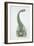 Brontosaurus, Jurassic Period-null-Framed Giclee Print