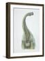 Brontosaurus, Jurassic Period-null-Framed Giclee Print