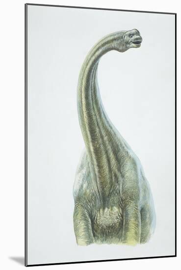 Brontosaurus, Jurassic Period-null-Mounted Giclee Print