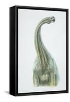 Brontosaurus, Jurassic Period-null-Framed Stretched Canvas