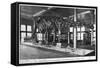 Brontosaurus Skeleton, American Museum of Natural History, New York, USA, Early 20th Century-null-Framed Stretched Canvas