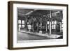 Brontosaurus Skeleton, American Museum of Natural History, New York, USA, Early 20th Century-null-Framed Giclee Print