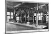 Brontosaurus Skeleton, American Museum of Natural History, New York, USA, Early 20th Century-null-Mounted Giclee Print