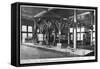 Brontosaurus Skeleton, American Museum of Natural History, New York, USA, Early 20th Century-null-Framed Stretched Canvas