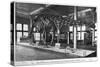 Brontosaurus Skeleton, American Museum of Natural History, New York, USA, Early 20th Century-null-Stretched Canvas