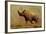 Brontotherium, a Family of Extinct Mammals-null-Framed Art Print