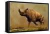 Brontotherium, a Family of Extinct Mammals-null-Framed Stretched Canvas