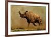 Brontotherium, a Family of Extinct Mammals-null-Framed Art Print